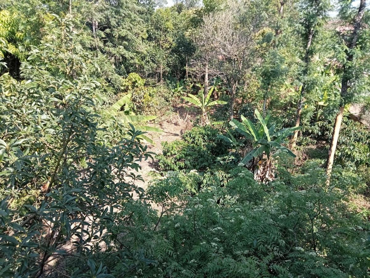Krupa Homestay Madikeri Exteriör bild